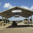 Bailey Barns - @BaileyBarnsFl - Twitter