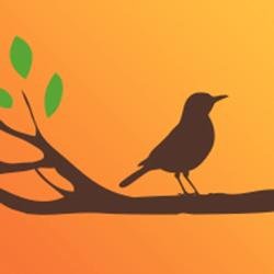 LakeWeirPreserv's profile picture. Dream homes.  Beautiful life.  For Boomers with RVs, Boats, Classic Cars, Motorcycles & ATVs