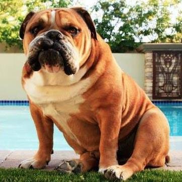 BryantDePiazza's profile picture. Health IT expert.