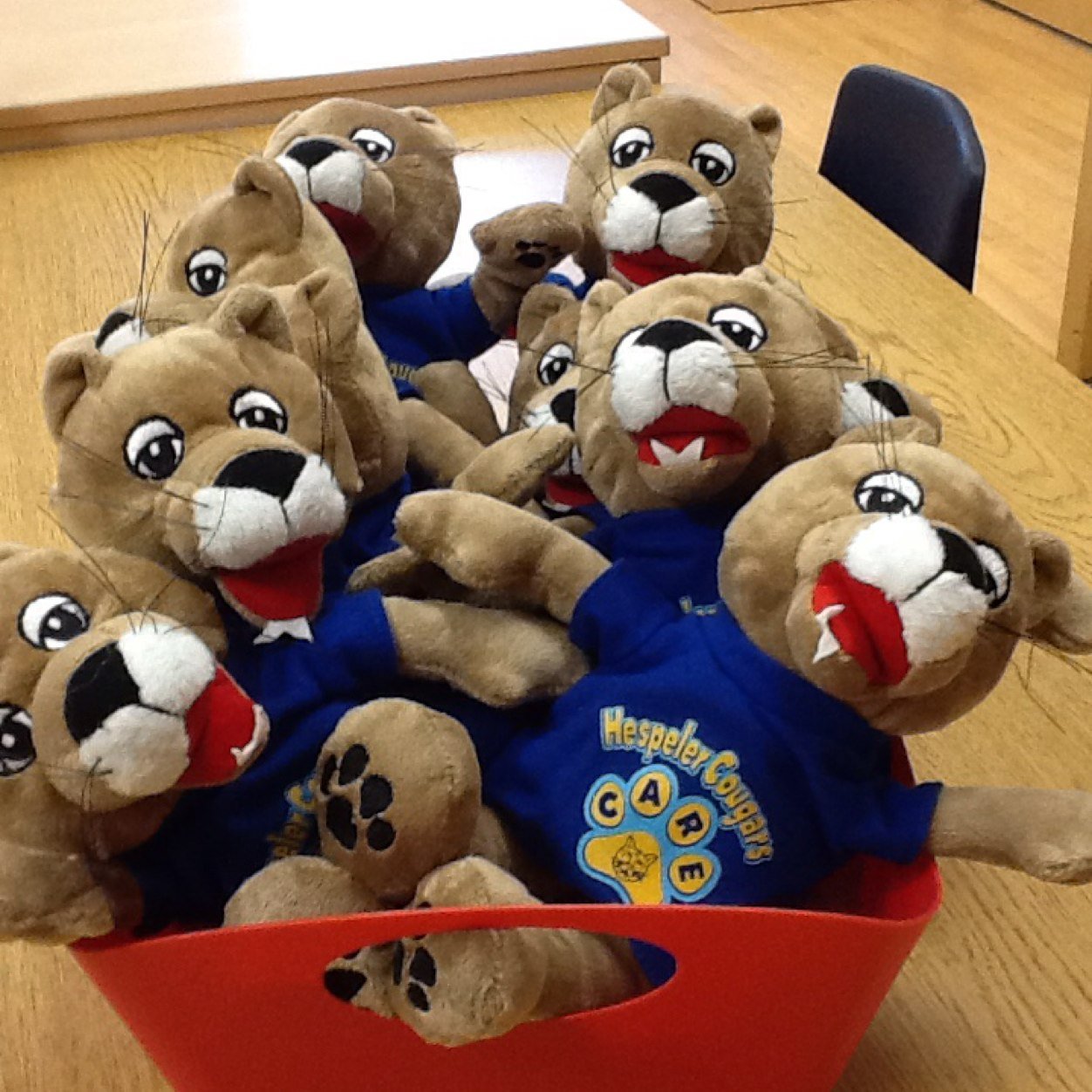 HespelerRm8FDK's profile picture. 