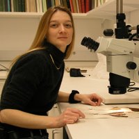 Nico Cellinese 🌺🧬🔬💻📈 (@ncellinese) 's Twitter Profile Photo