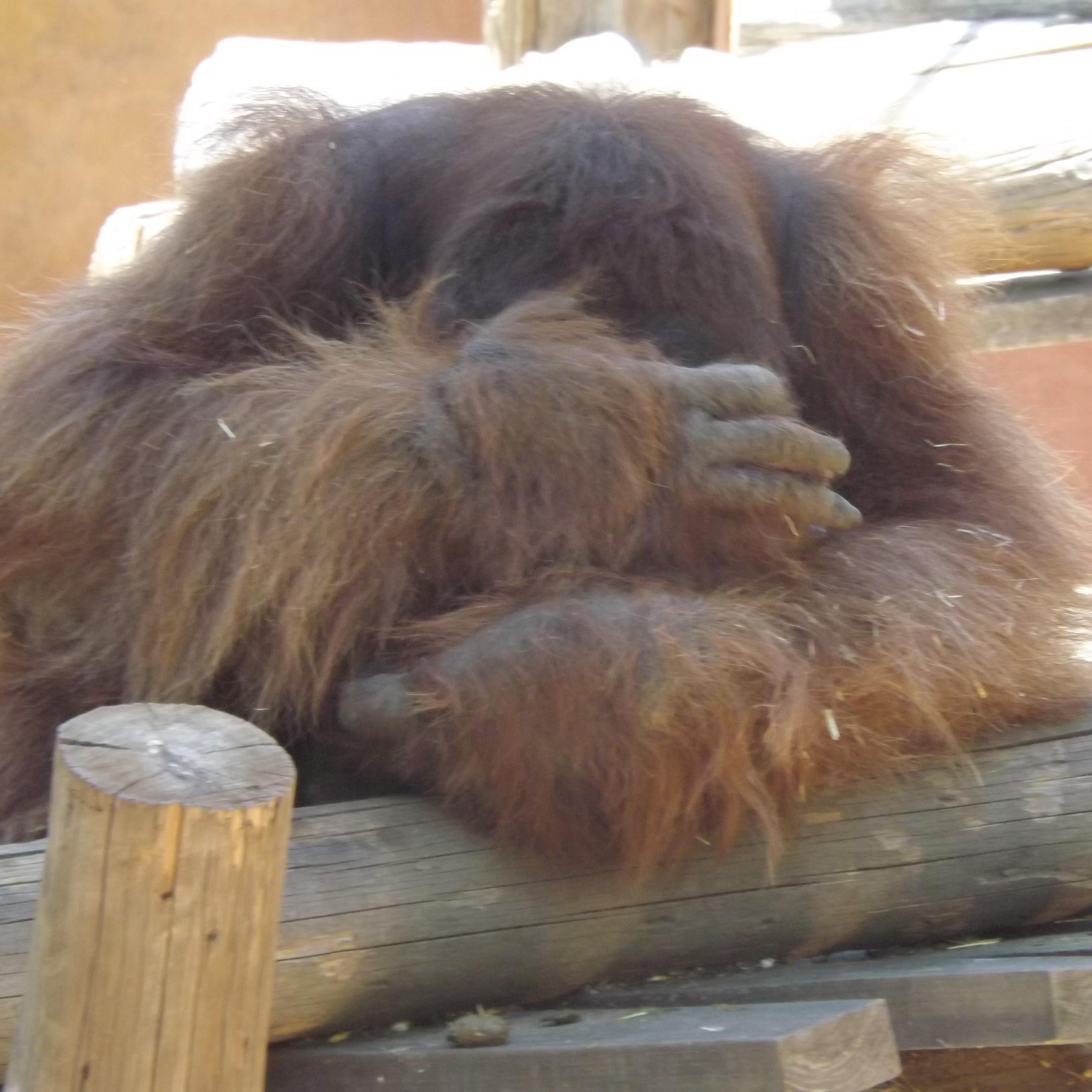 mp425vmm's profile picture. Gym freak !!!!