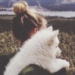 15|Quinto año||Gryffindor||Sangre pura||Quidditch| #Pottertty||Ejército de Dumbeldore||Sortilejos Weasly♡ #Pottertty