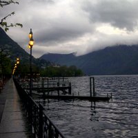 sara, a (@algamar_2010) 's Twitter Profile