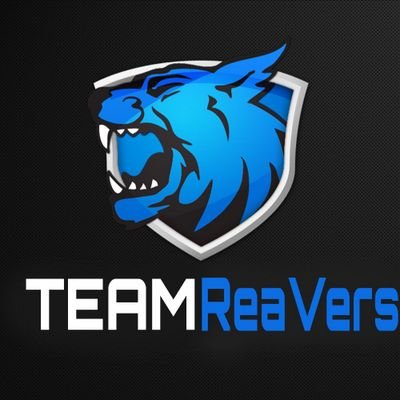 Team_ReaVers Profile Picture