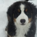 barry peck - @barry_peck - Twitter