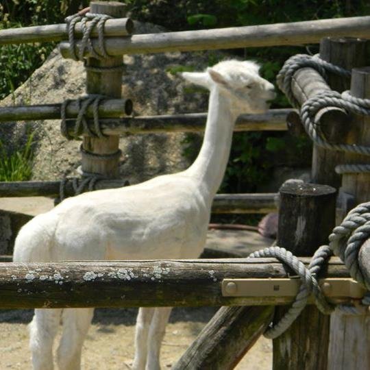 lovepapajohns's profile picture. 