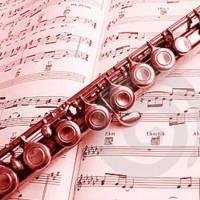 Músico🎼🎵🎶 Flautista Ejecutante , Mtra. de Lenguaje Musical y Flauta Trasversa en El Sistema de Orquestas y Coros de Maracay- Aragua-Venezuela 🇻🇪🇻🇪🇻🇪