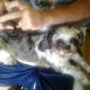 Sheila Dunlap - @DunlapSheila - Twitter