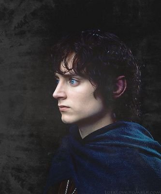 I threw the ring into mordor and left for the Grey Havens but I came back because I missed the Shire(18+ Multi ship Mc Pansexual)