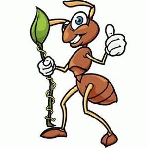 bosszoz's profile picture. 