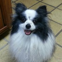 Nobody (@notabot314) 's Twitter Profile Photo