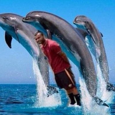ProBetTips_ Profile Picture