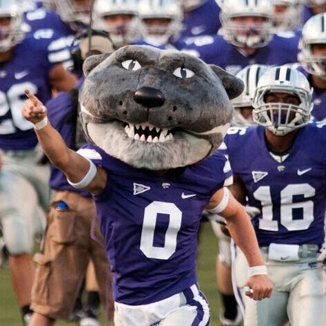 ElCraig31's profile picture. 