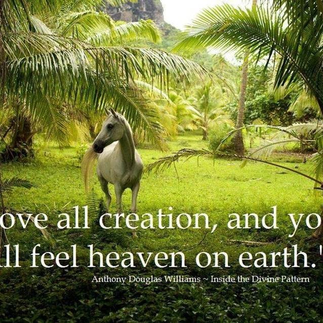 Director of Development and Expansion at the David Lynch Foundation, Instititute of Science, Technology and Public Policy, Lover of. Nature, horses, humanity.