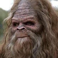 Anthony Rowsick (@progsquatch) 's Twitter Profile Photo Anthony Rowsick (@progsquatch) 's Twitter Profile Photo