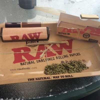 PackStl's profile picture. Stl bud