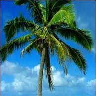 MaryAnnJedlicka's profile picture. 