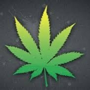 Marijuana enthusiast. Follow us for everything to do with weed! Started 8/29/14