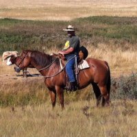 Ralph Retzlaff (@ralphrlretz) 's Twitter Profile
