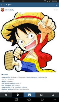 The future Pirate King of the Grand Line. Captain of an 9-member ship; Roronoa Zoro, Sanji, Nami, Nico Robin, Usopp, Chopper, Brook, and Franky.