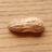 Peanut