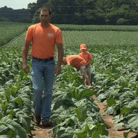 Bill Pearson (@wapearson81) 's Twitter Profile
