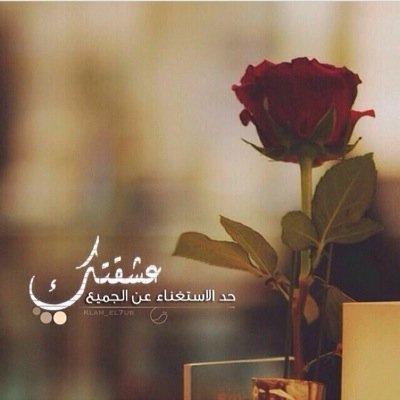 خريجة دراسات طفولة ومعلمة رياض اطفال اتمنى اكون خير رسول لهم وسبب دخولي الجنة يارب♥️♥️