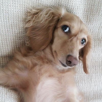 原 陽一 (akmy7918) Twitter