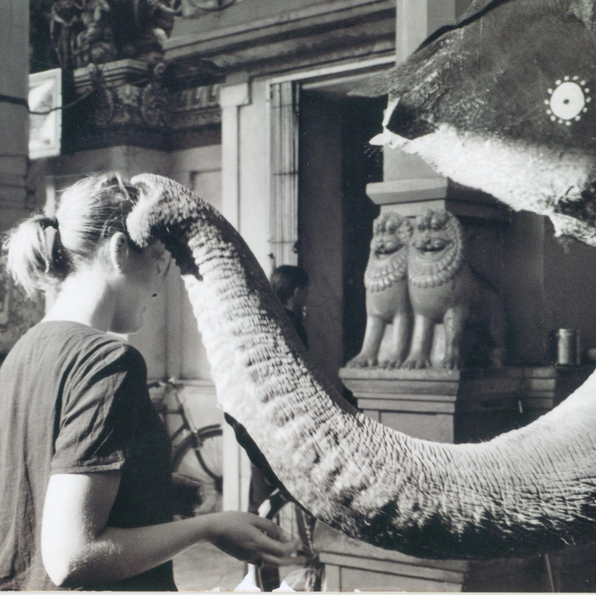 NorrAsgard's profile picture. Chicken Farmer, Healer, Shaman, Priestess, Writer