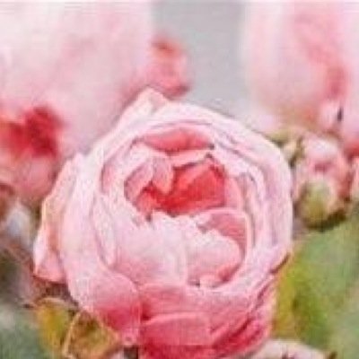 itsahardworld_'s profile picture. Hello, i will always follow back&never judge anyones opinion,If you need to talk/vent/ask/looking for a friend im here for you no matter what.