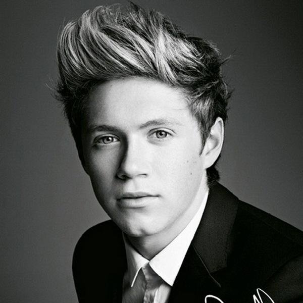 Nialler ..Proud to be Directioners