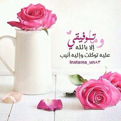 أجدني نبض في كل معنى وحرف لحقيقة واحدة لا ثاني لها قرآننا وسنة نبيه المصطفى صلى الله عليه وسلم  جوهر الحضارة والحرية والإنسانيه ،عزتي وفخري ديني وعروبتي.
