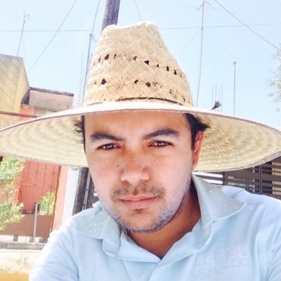 Ingeniero Civil Maestro en Ciencias con Orientación en Materiales de Construcción
