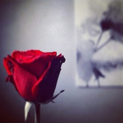 ‏‏کُن رَاقِیاً ؛ بَفکرگ ؛ بَ گتَابَاتگ ؛ بَ أفعَالگ ؛ أخلاَقگ ؛ سَتَجذبَ الیگ قُلوبَ الناسَ ؛ وانّ کَانّوا لآ یعّرفّونَ عَنّگ شیئاً