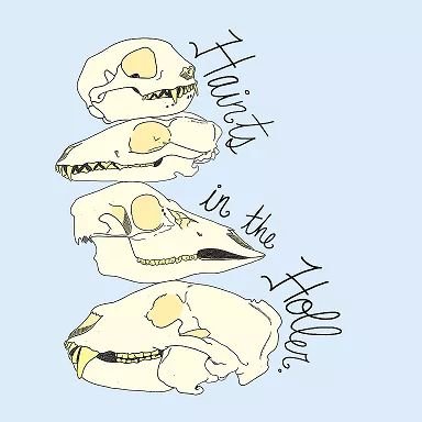 haints_holler's profile picture. RVA folk grunge.