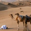 سيف محمد الشامسي (@0507140488) Twitter