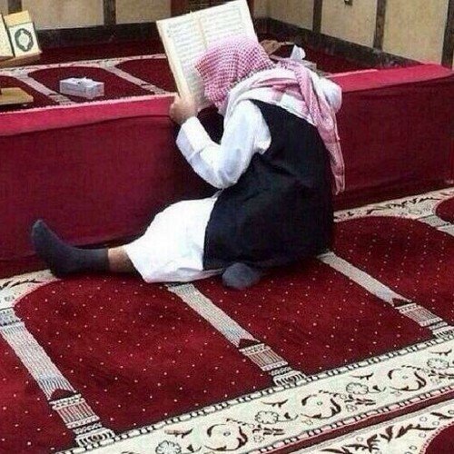 moalmalki1's profile picture. 