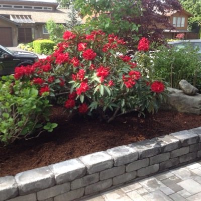 lyonmama2's profile picture. 