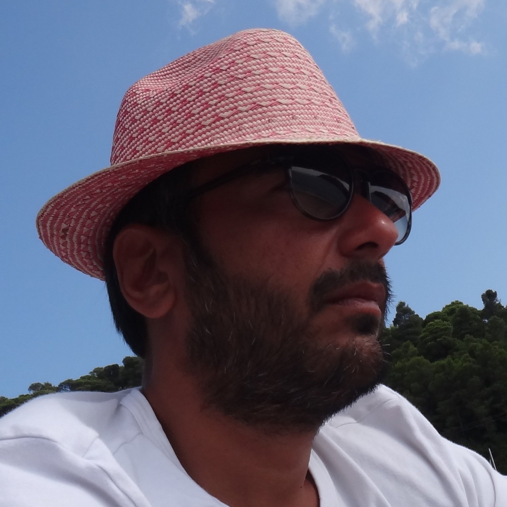 A/V system integrator professional with experience in Project Management, System Analysis and Design.