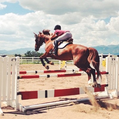 Being an equestrian is fabulous. Colorado Proud ❤️
•Zone 8•