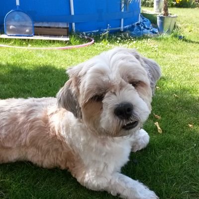 AnettePetterss1's profile picture. 