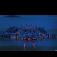 الامير (@fhfshfdfsjds) Twitter profile photo