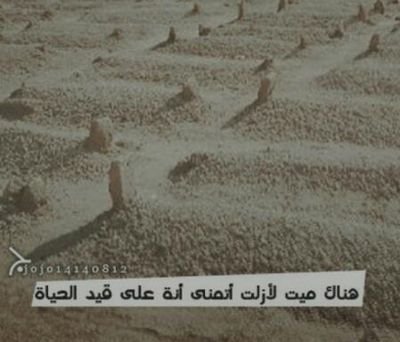 ‏‏‏اللهم أنرقبورهم بنورك ووسع لهم وادخلهم فسيح جناتك( أمين) هم أموات ولكن أرواحهم تنتظر منآ أبسط الدعوات ليفرحوا بهآ (رتويت للأجر) الخاص مهمل