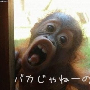 どうも小岩井です
かっこいいでしょ？