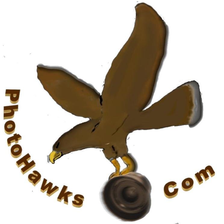 Owner and Videographer / Photographer for Get it on DVD LLC, and http://t.co/fVaP1Emv5E Create Sports Player Highlights and Film Sports Events.