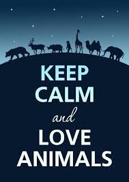 -Animals lover
-Ian Somerhalder is my everything
-Taken since 02/05/15