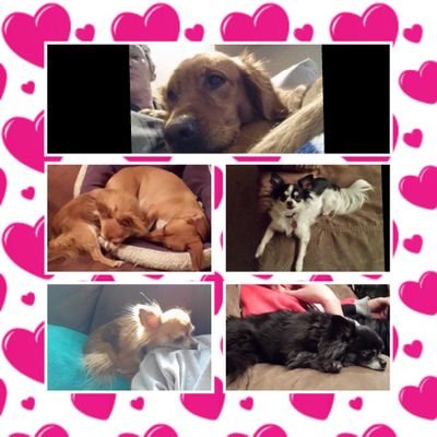 BtazzedS's profile picture. 