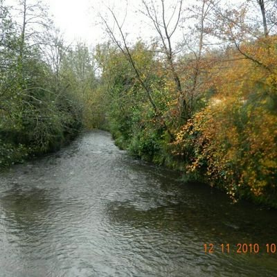 AngieStockford's profile picture. 