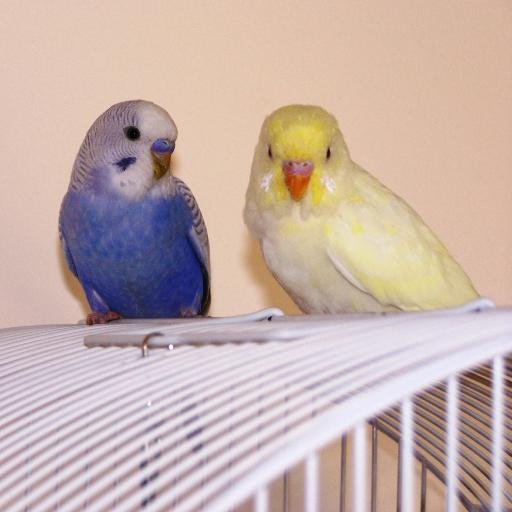 ltealby's profile picture. 